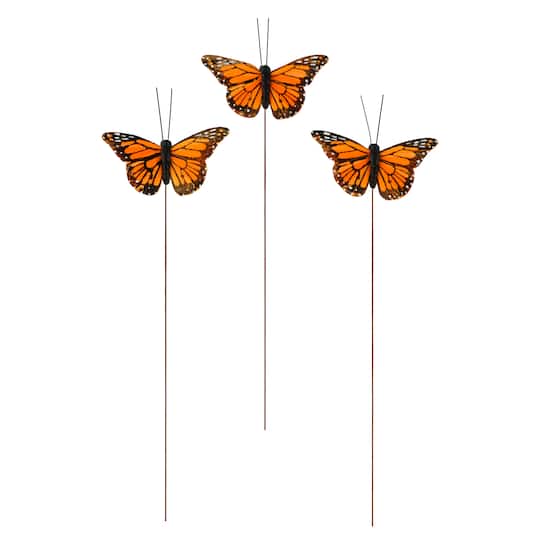 Orange Monarch Butterflies